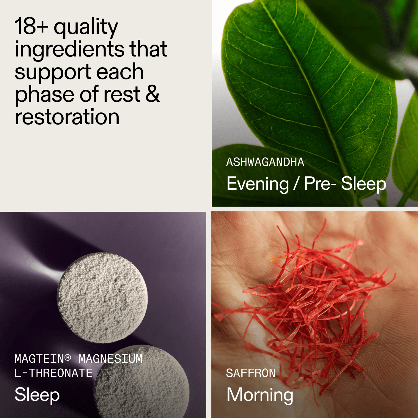 AGZ: Nightly Sleep Support（12 Servings）