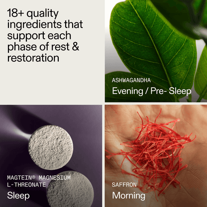 AGZ: Nightly Sleep Support（12 Servings）